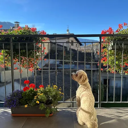 Casa Delfina 펜션 *